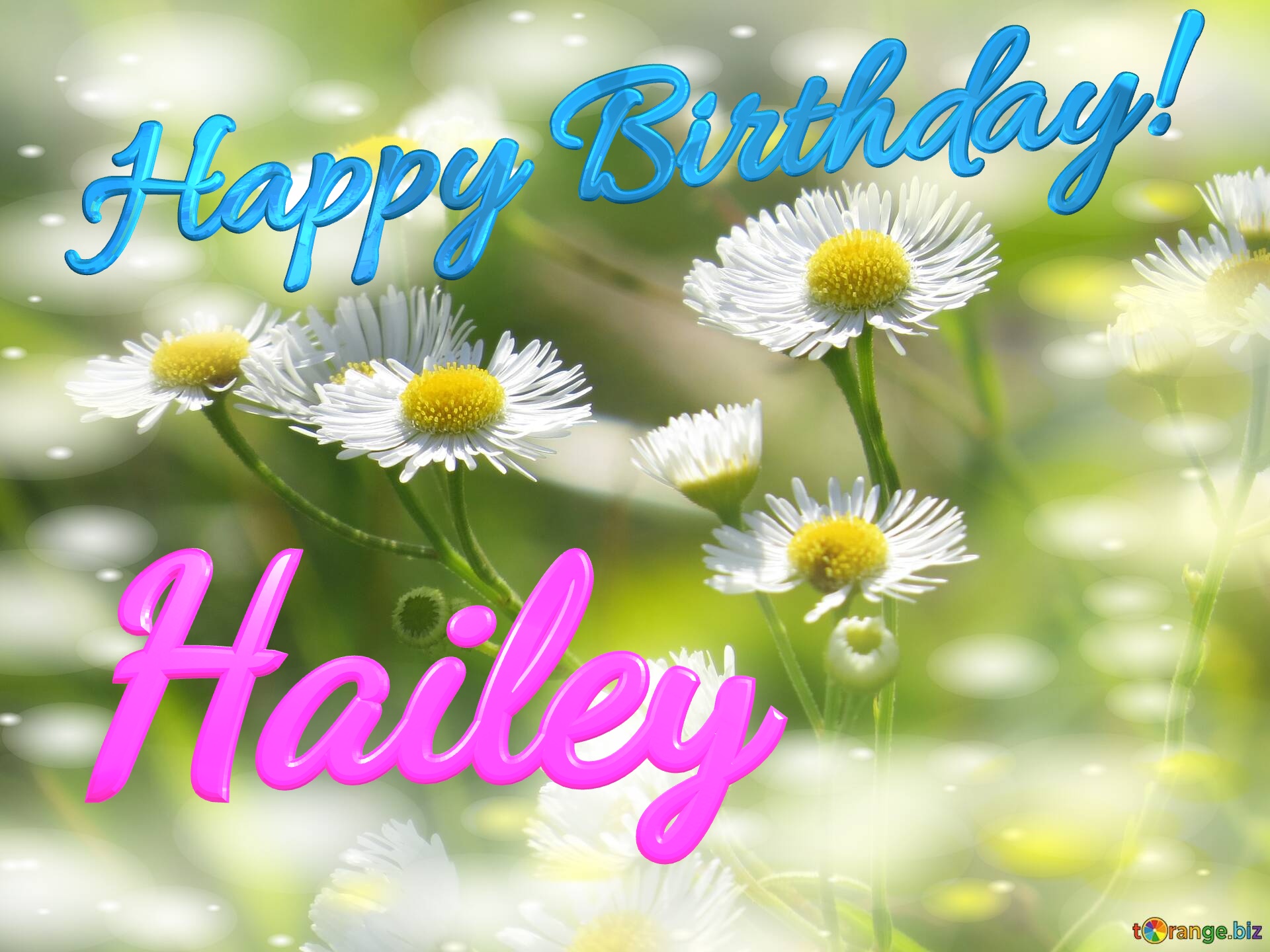 Hailey Happy Birthday! Daisies bokeh background №0