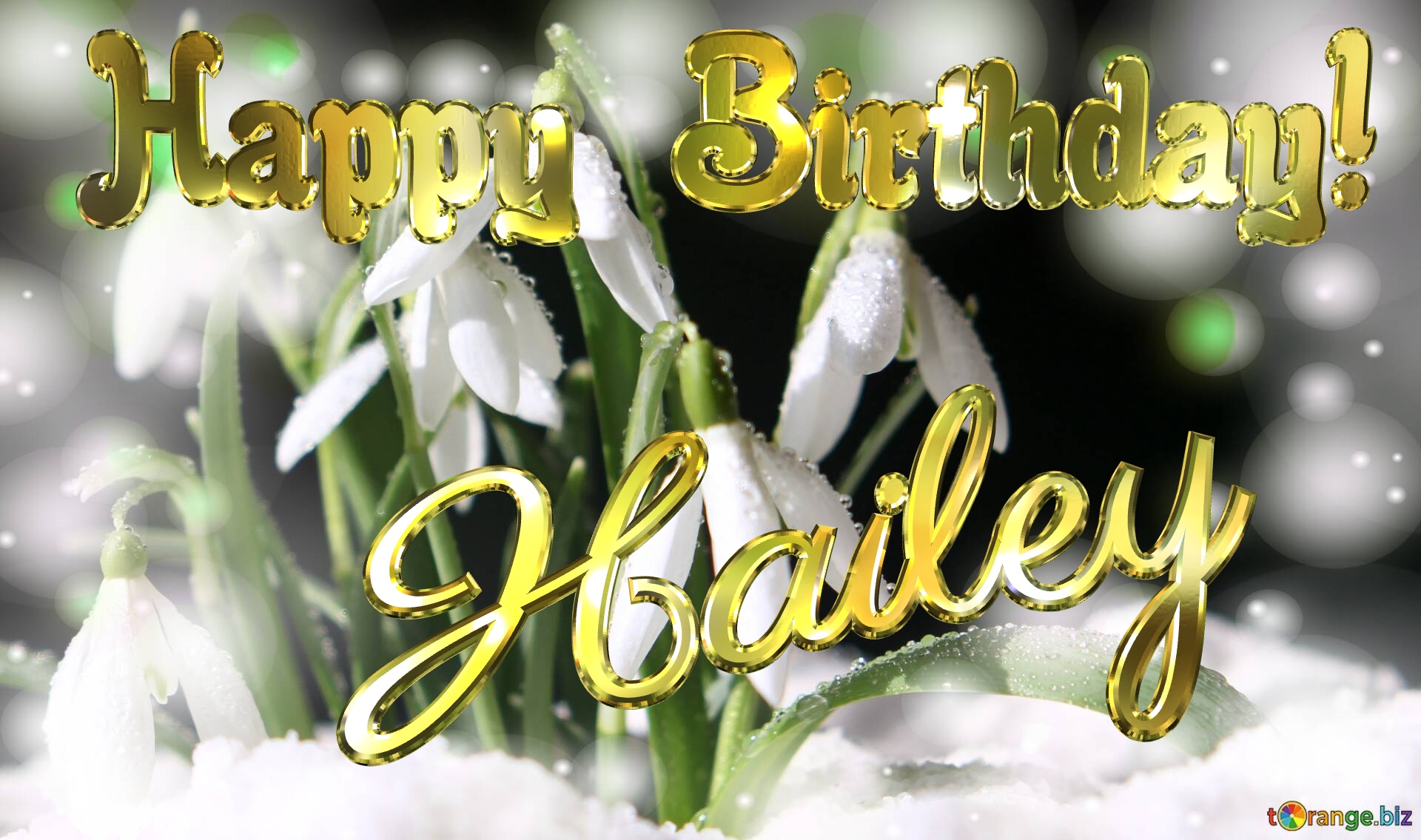 Hailey Happy Birthday! Spring backgrounds with first flower №0