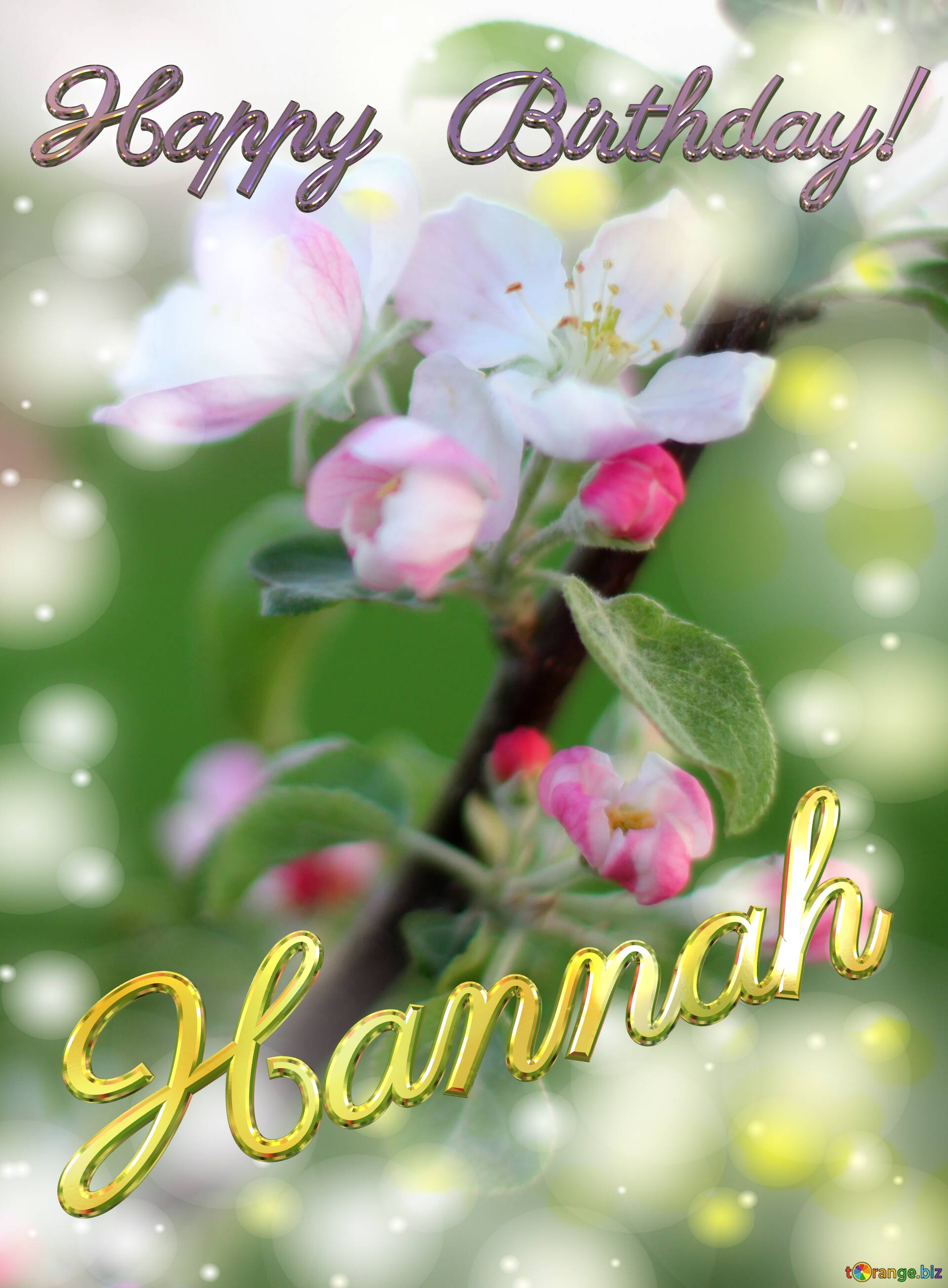 Hannah Happy Birthday! Flowers of the Apple-tree background №0