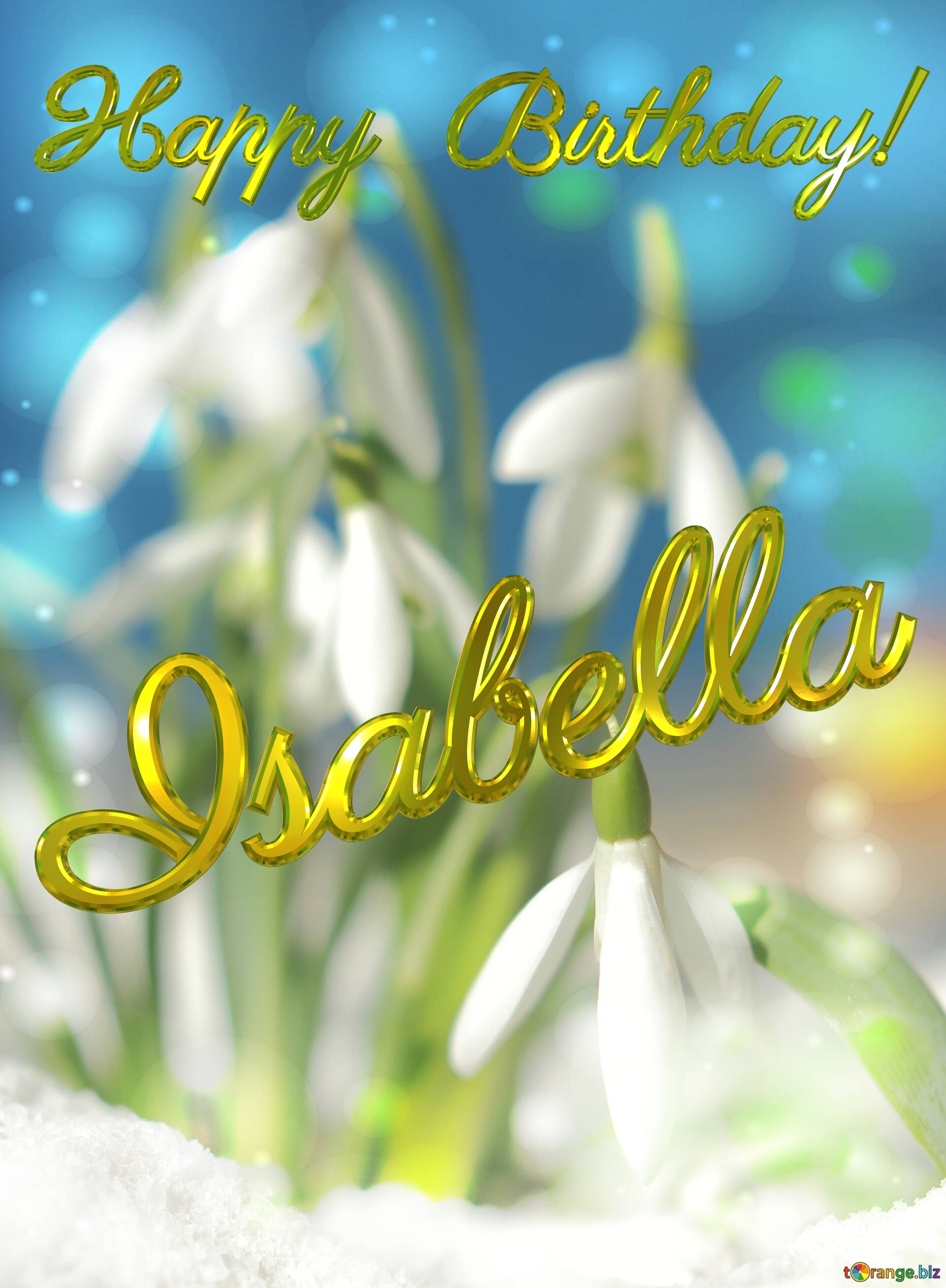 Happy Birthday! Isabella Spring Flowers Beautiful spring  flowers bokeh background №0