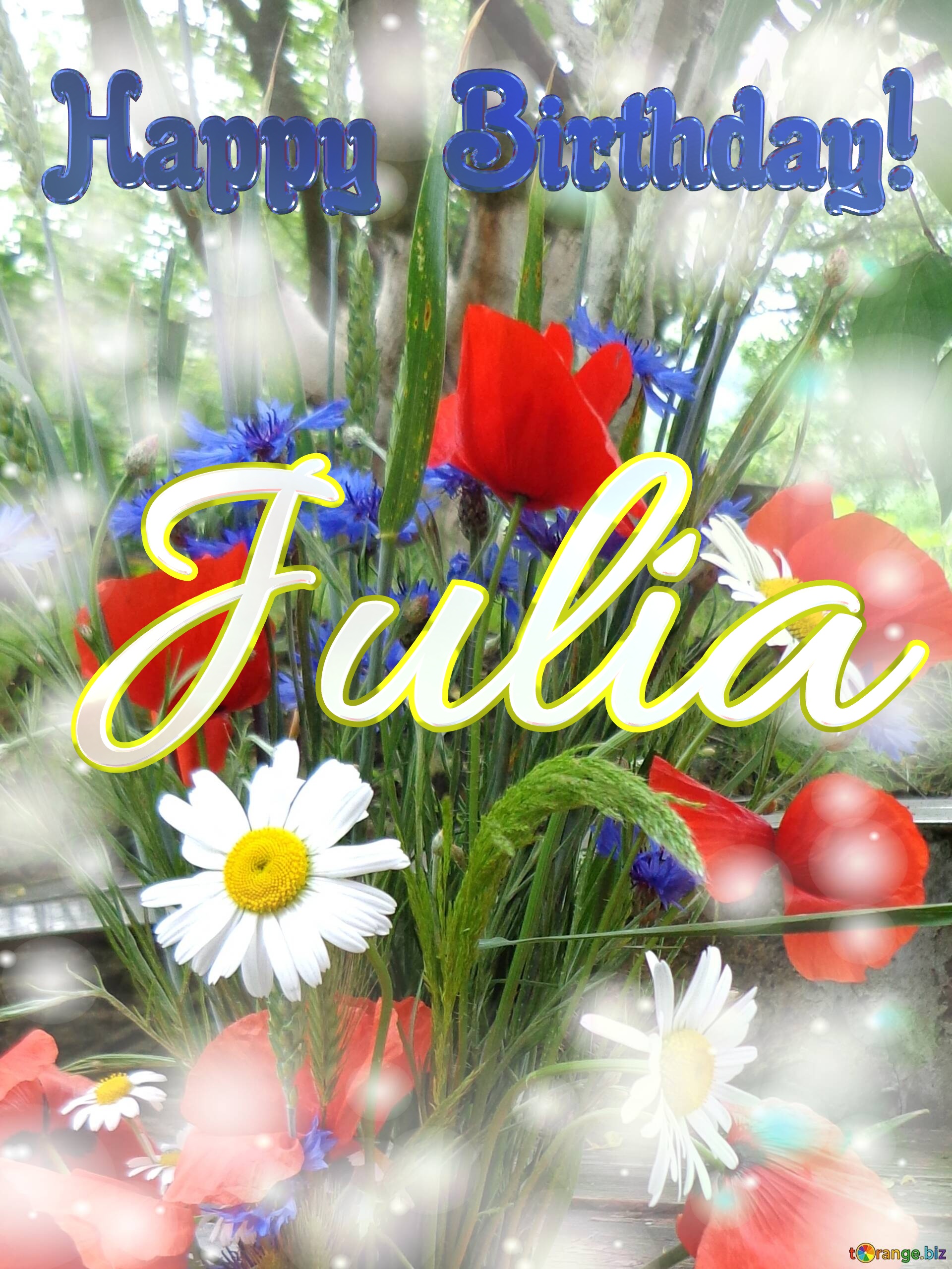 Julia Happy Birthday! Bouquet summer flowers №0