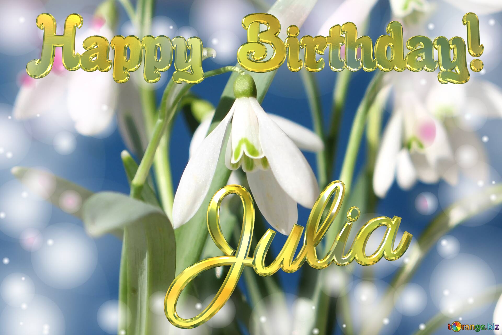 Happy Birthday! Julia Spring Flowers Flowers  spring background №0