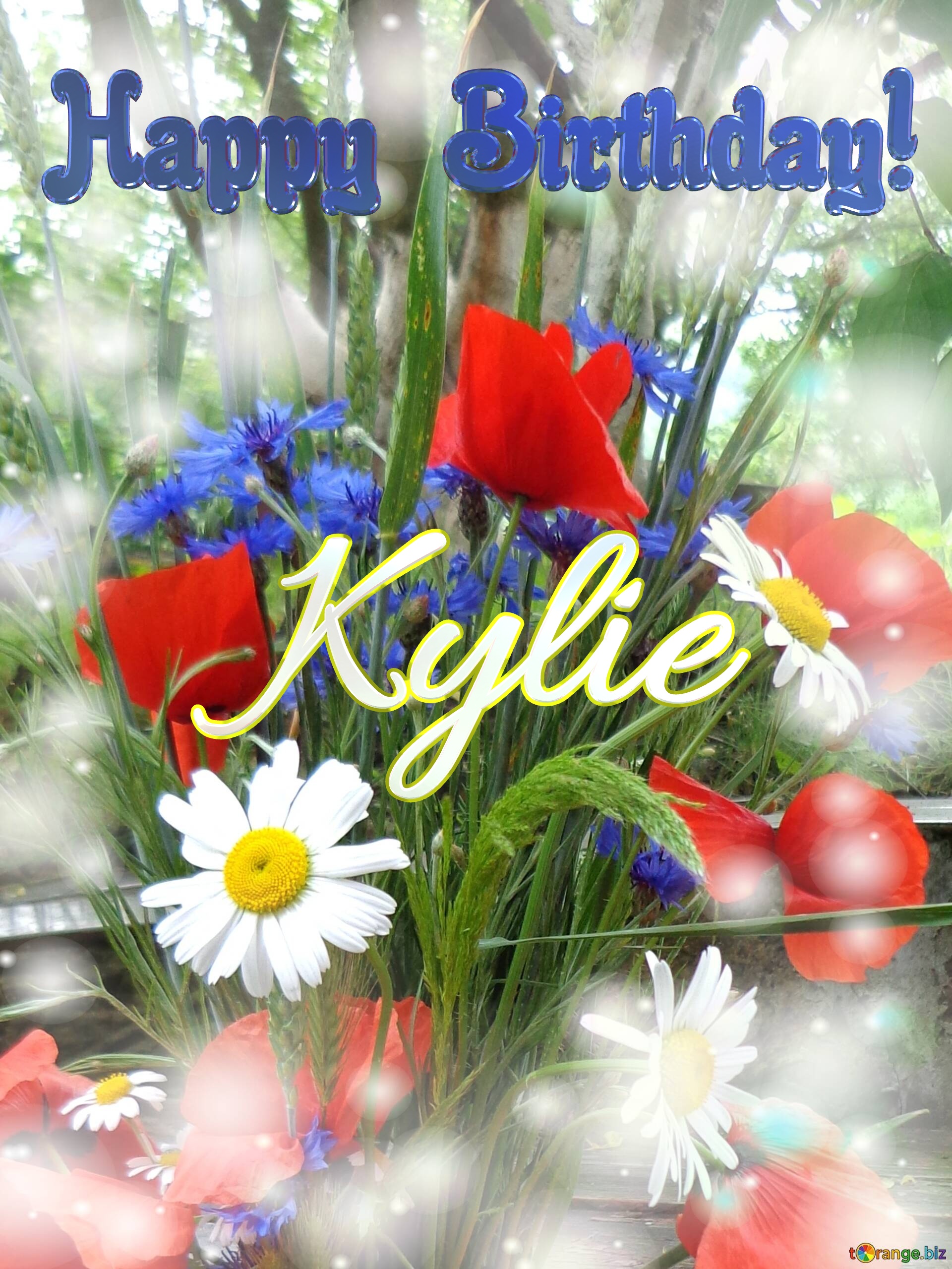 Kylie Happy Birthday! Bouquet summer flowers №0