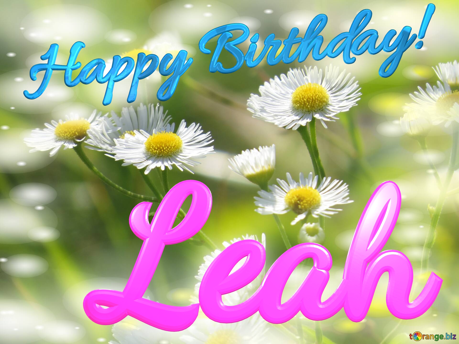 Leah Happy Birthday! Daisies bokeh background №0