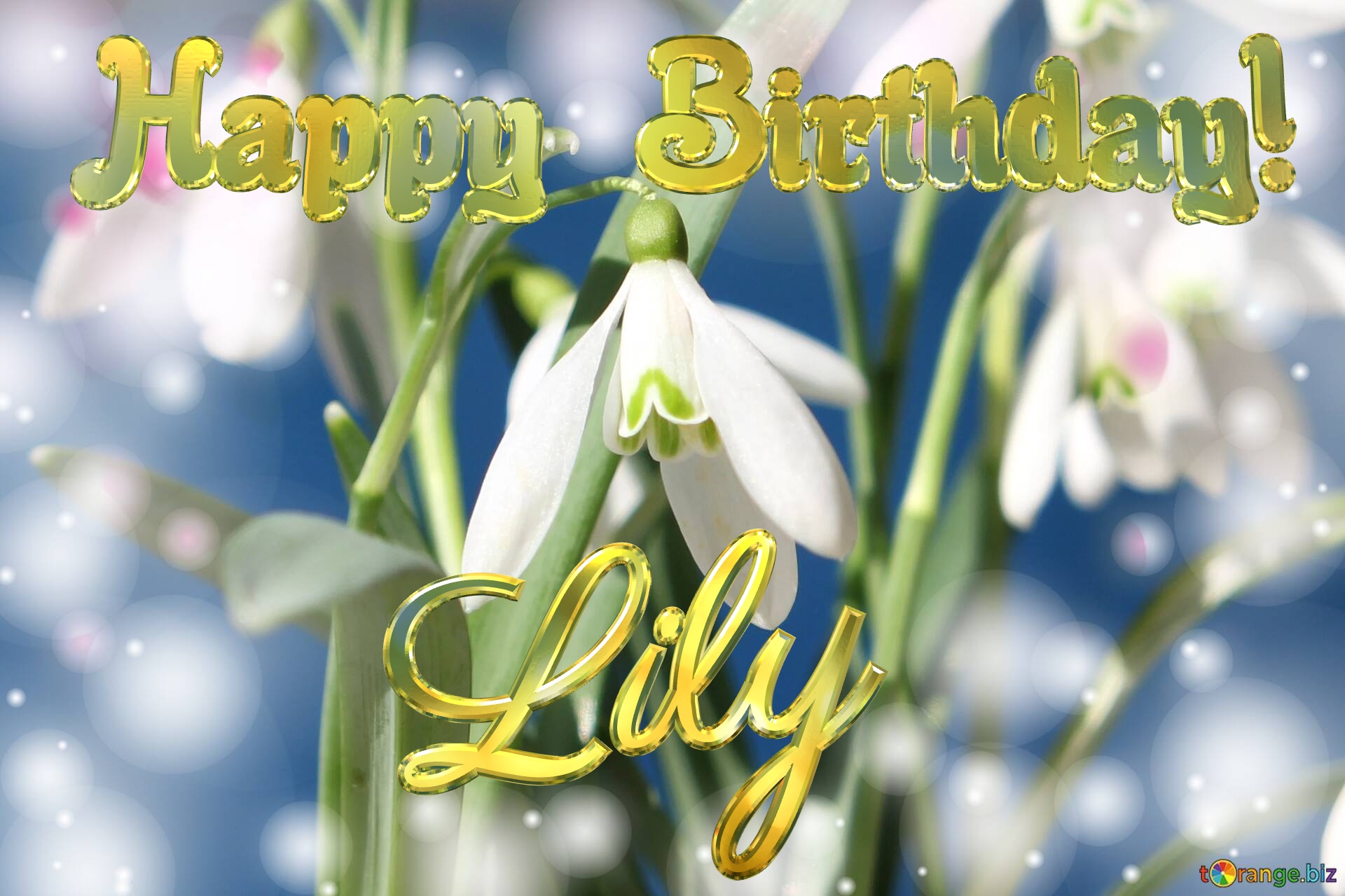 Happy Birthday! Lily Spring Flowers Flowers  spring background №0