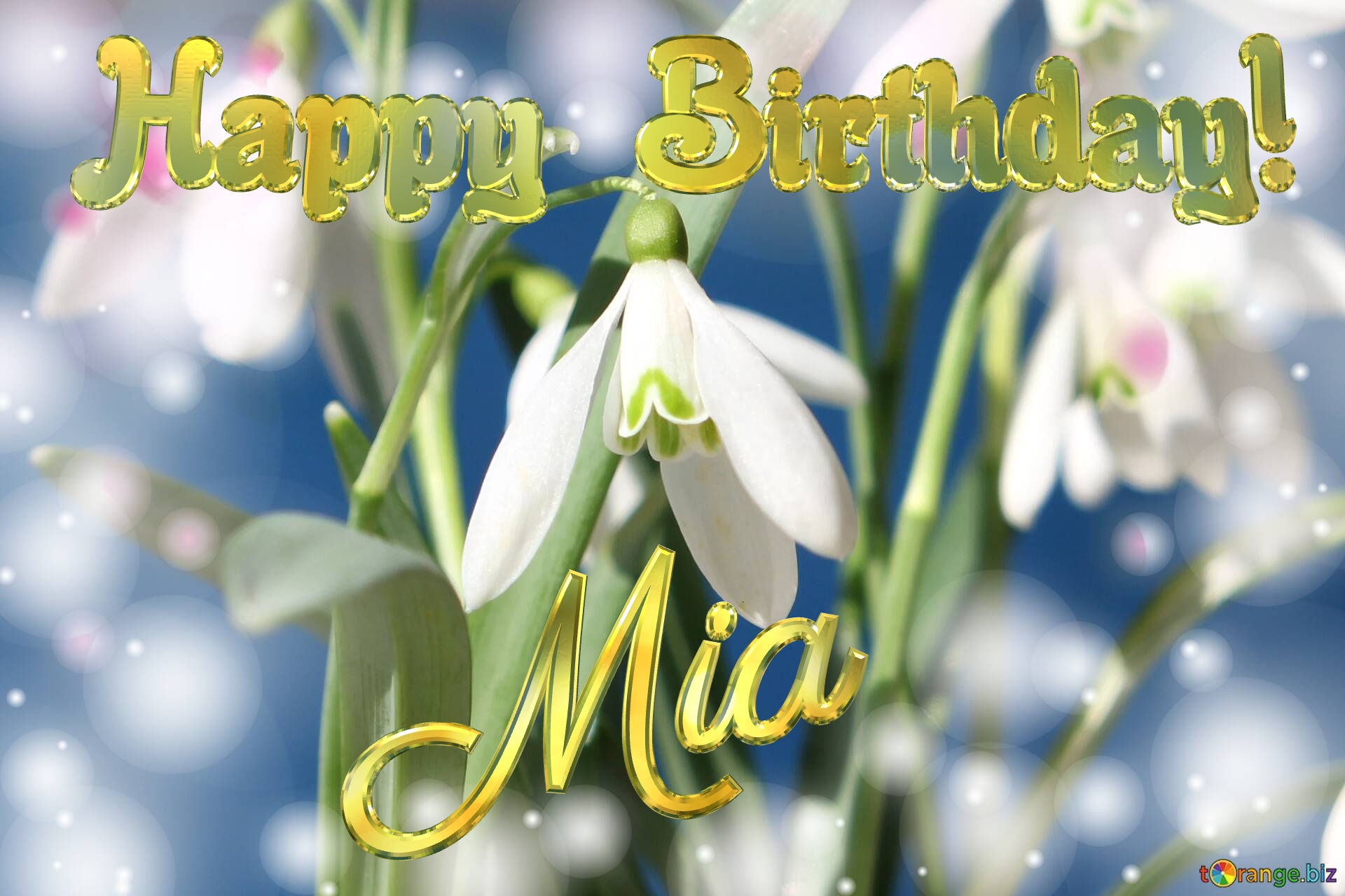 Happy  Birthday! Mia   Flowers  spring background №0