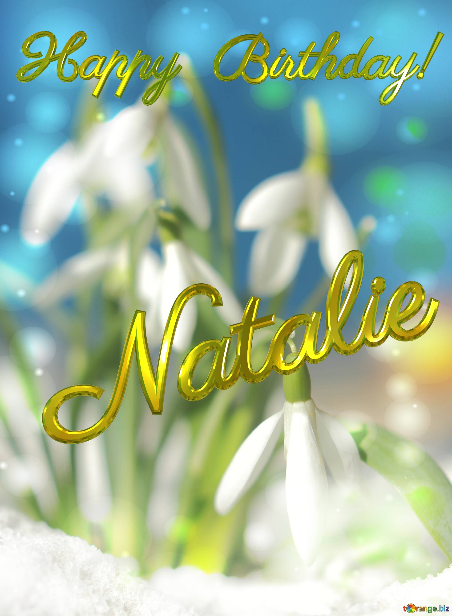 Happy Birthday! Natalie Spring Flowers Beautiful spring  flowers bokeh background №0