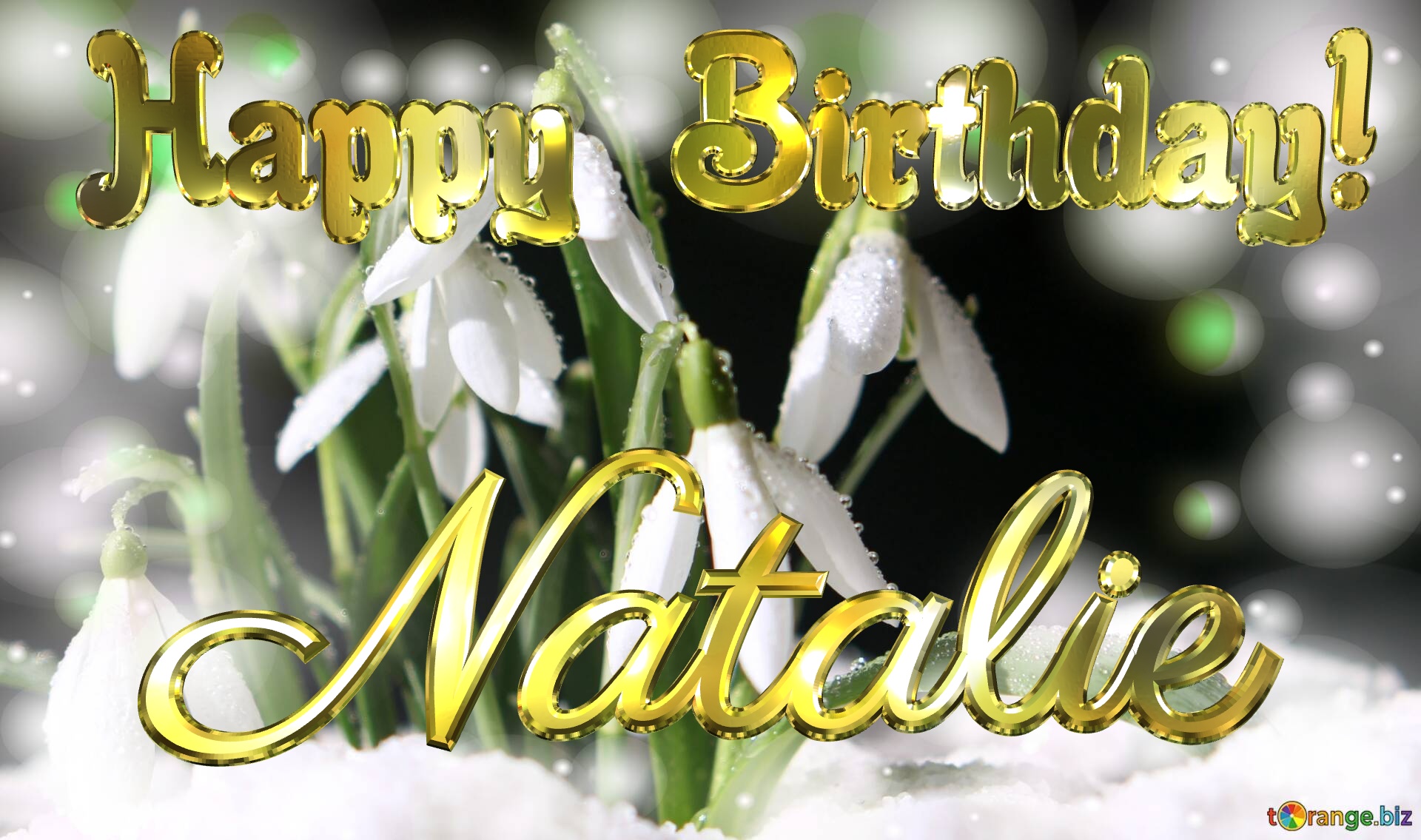Natalie Happy Birthday! Spring backgrounds with first flower №0