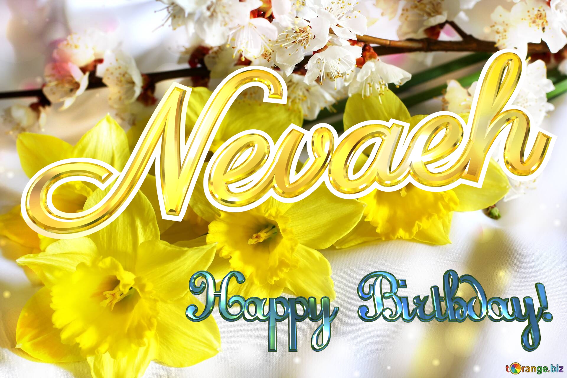 Nevaeh Happy Birthday! Spring flowers bouquet №0
