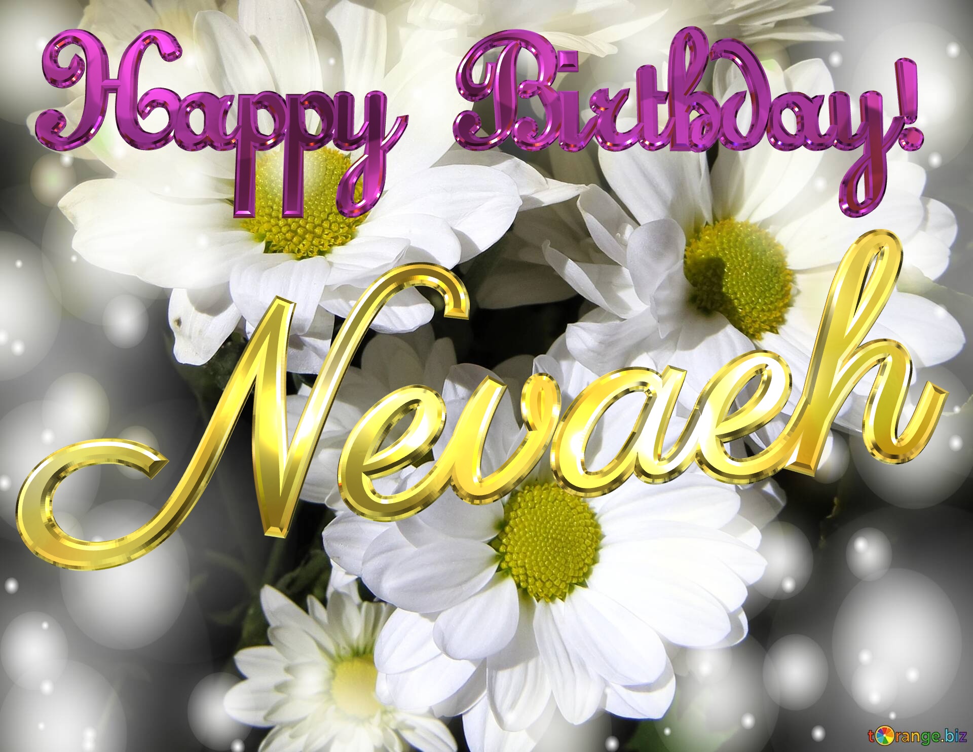 Nevaeh Happy Birthday! White flowers background №0