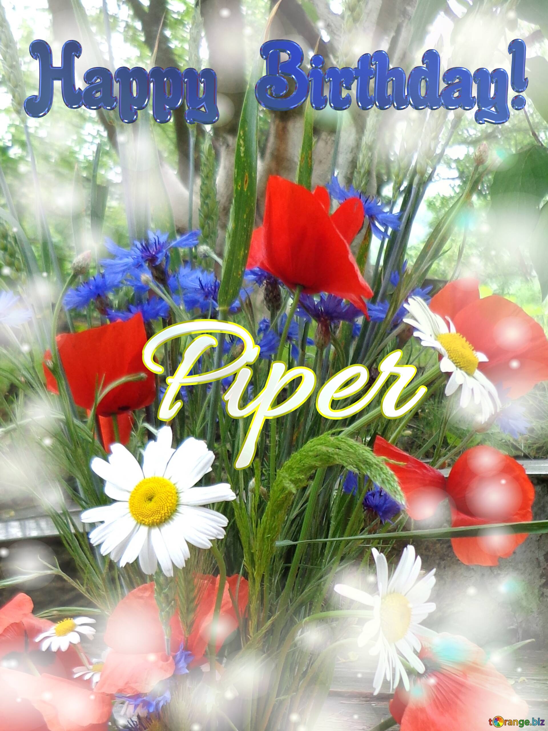 Piper Happy Birthday! Bouquet summer flowers №0