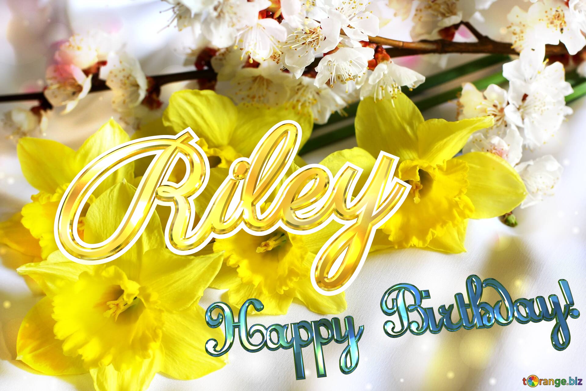 Riley Happy Birthday! Spring flowers bouquet №0