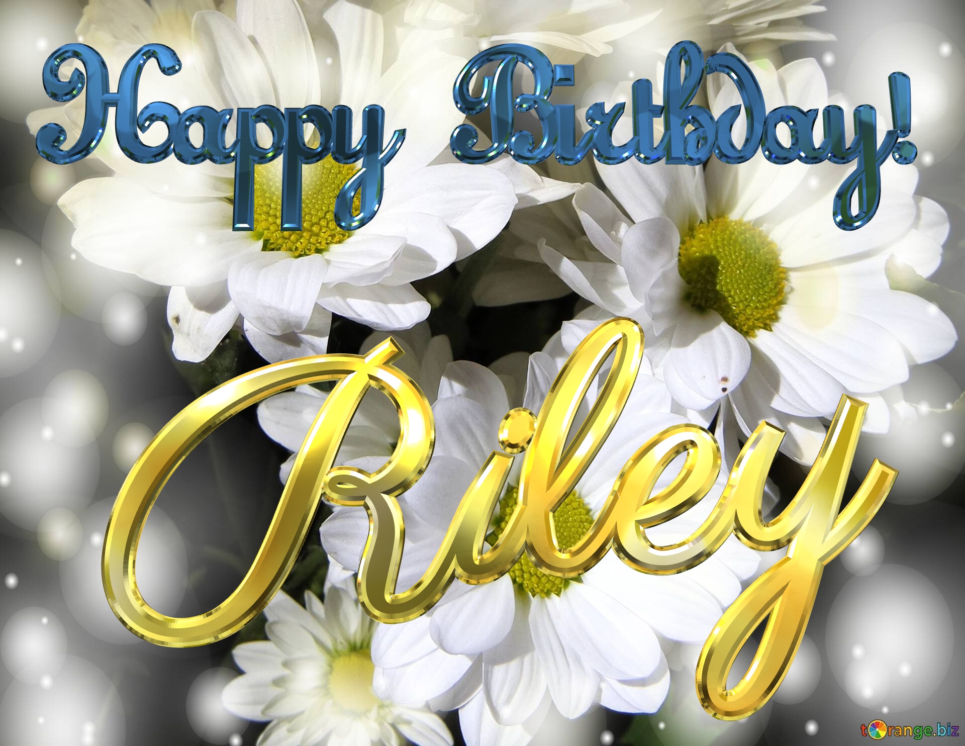 Riley Happy Birthday! White flowers background №0