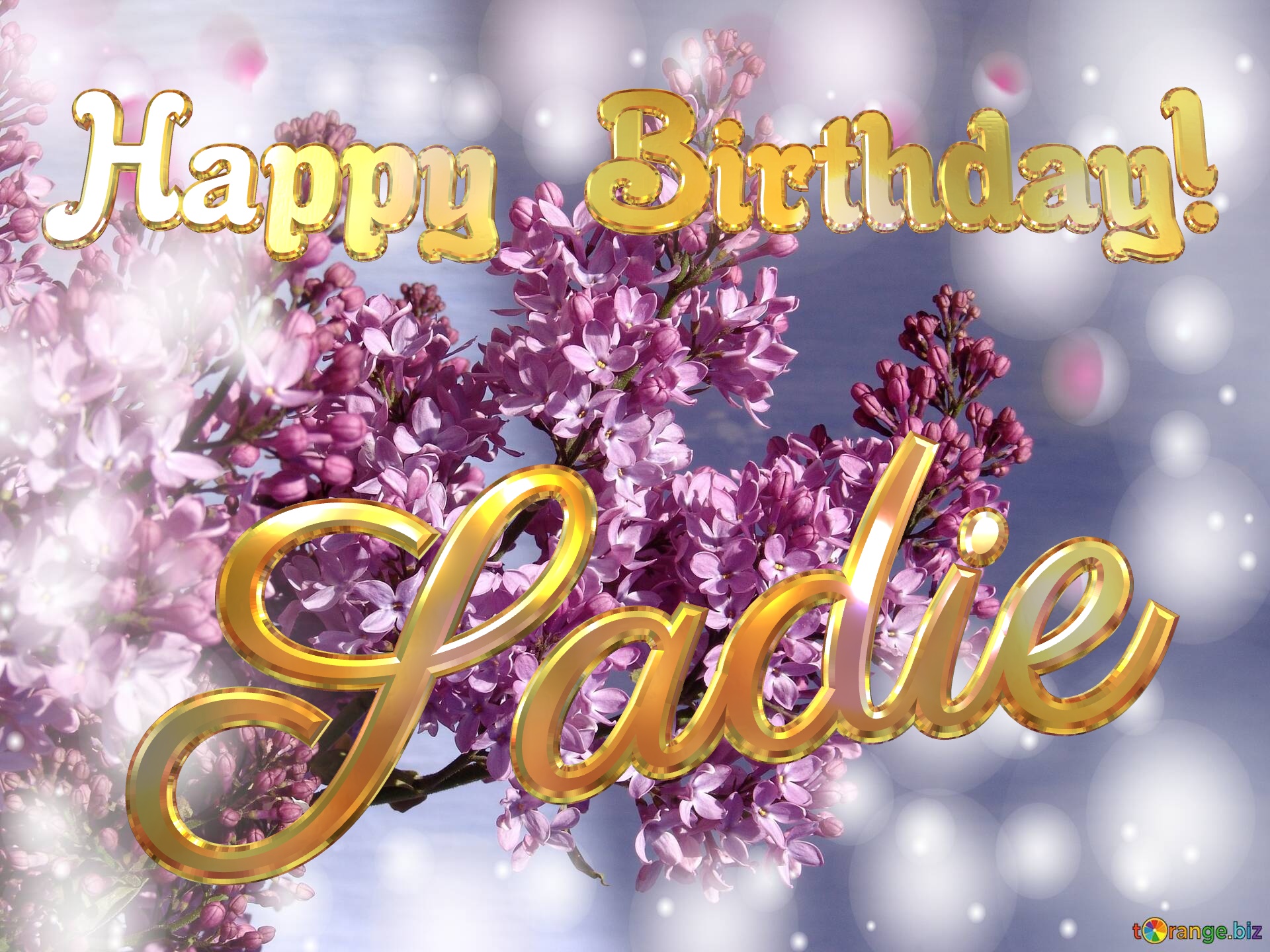Sadie Happy Birthday! Background Lilac Flowers №0