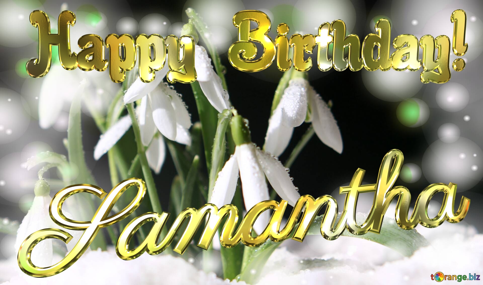 Samantha Happy Birthday! Spring backgrounds with first flower №0