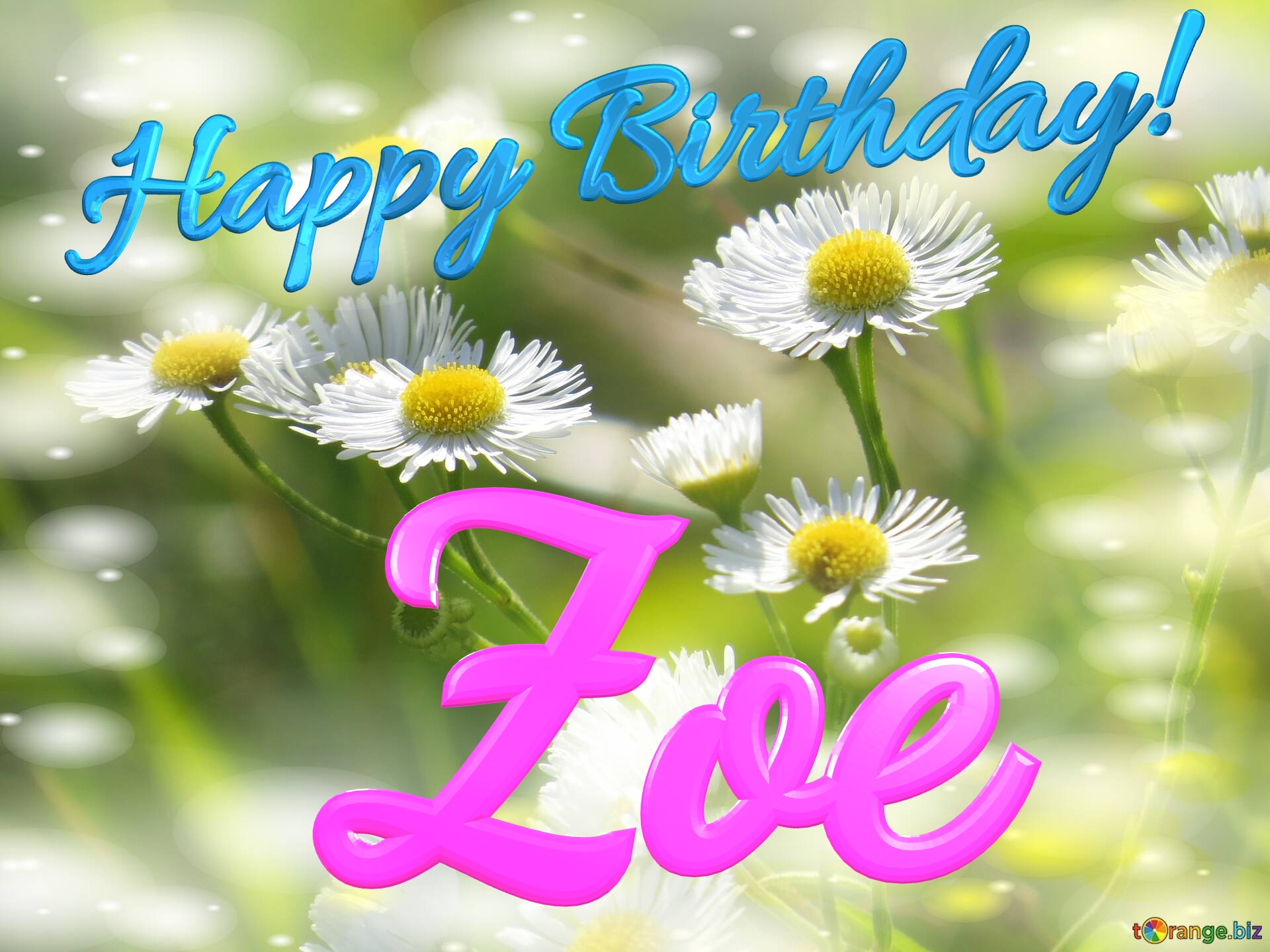 Zoe Happy Birthday! Daisies bokeh background №0