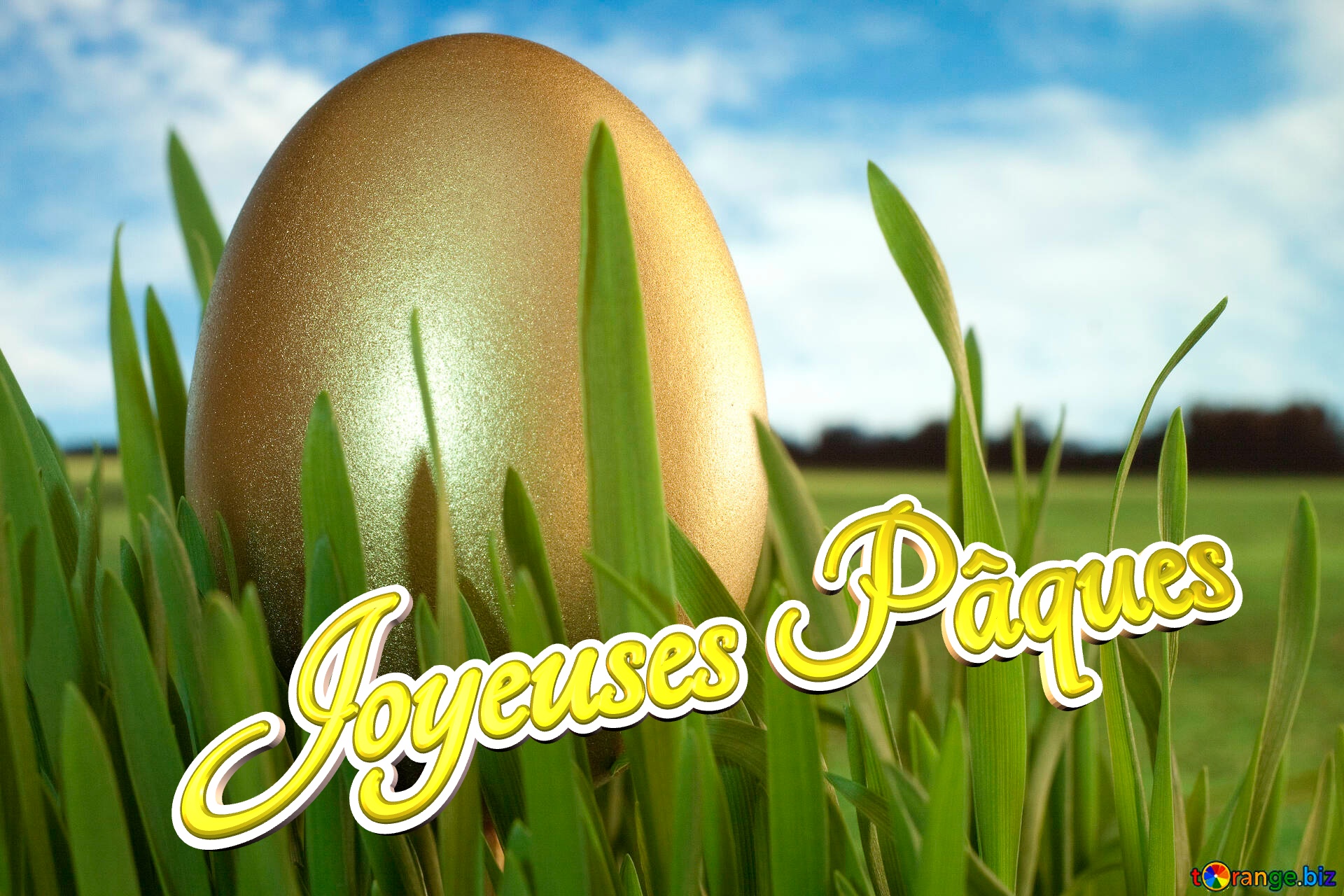 Joyeuses Pâques  Jewel  Easter  egg . Gold. №8187