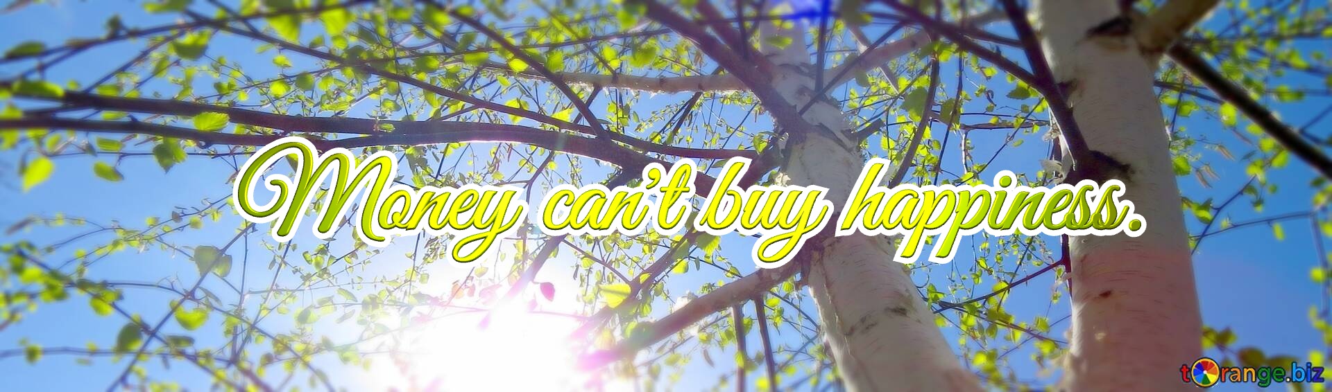 Cover Money can`t buy happiness. Cover. The Sun in the branches of birch tree. №0