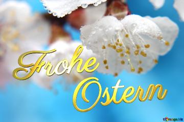 Frohe       Ostern  Spring Wallpapers For Desktop