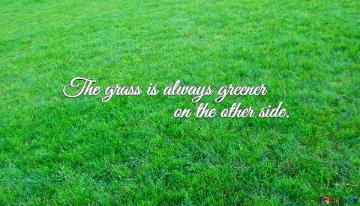 The grass is always greener on the other side. Cover for social network. Facebook, twitwer, instagram ets.