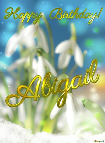 Happy Birthday! Abigail Spring Flowers Beautiful Spring  Flowers Bokeh Background