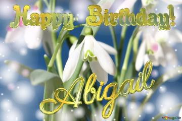 Happy  Birthday! Abigail  