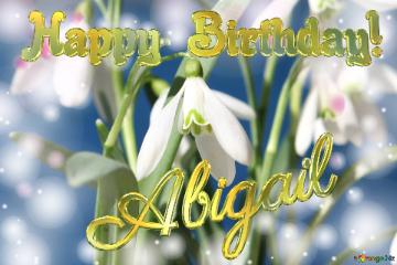 Happy Birthday! Abigail Spring Flowers Flowers  spring background