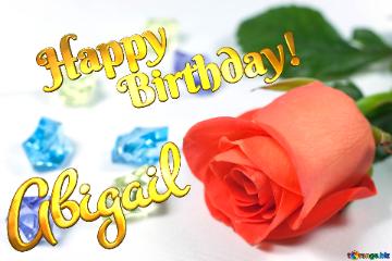 Abigail Happy Birthday!