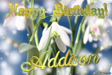 Happy  Birthday! Addison  
