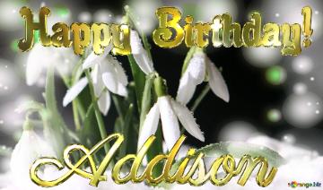 Addison Happy Birthday! Spring Backgrounds With First Flower