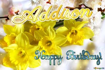 Addison Happy Birthday! Spring Flowers Bouquet