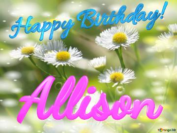 Allison Happy Birthday! Daisies Bokeh Background