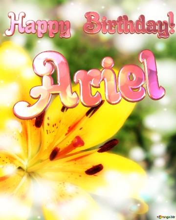 Yellow lily flower Happy Birthday! Ariel