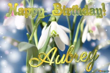 Happy Birthday! Aubrey Spring Flowers