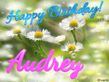 Audrey Happy Birthday! Daisies Bokeh Background