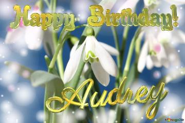 Happy Birthday! Audrey Spring Flowers Flowers  Spring Background