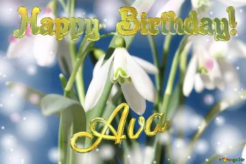 Happy Birthday! Ava Spring Flowers Flowers  Spring Background