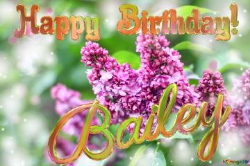 Bailey Happy Birthday! Blooming Lilac Background