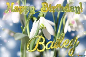 Happy Birthday! Bailey Spring Flowers Flowers  Spring Background