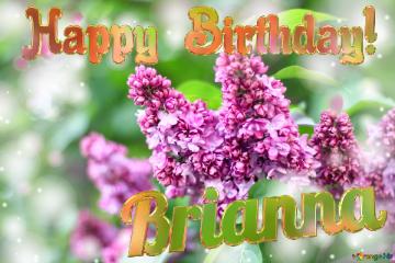 Spring lilac flowers Happy Birthday Card For Brianna