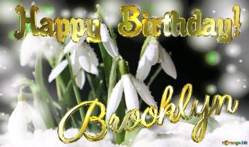Brooklyn Happy Birthday! Spring Backgrounds With First Flower