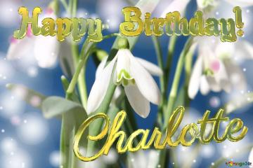 Happy Birthday! Charlotte Spring Flowers Flowers  spring background