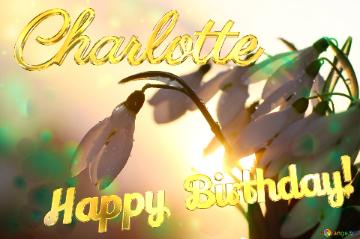 Charlotte Happy Birthday! Spring Morning Background