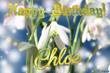 Happy Birthday! Chloe Spring Flowers