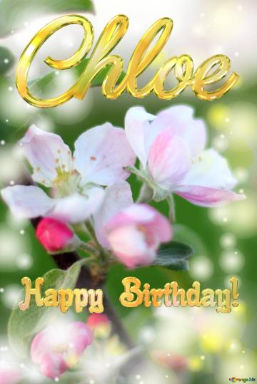 Chloe Happy Birthday! Macro Flower Apple Background
