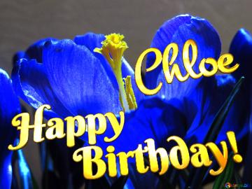 Chloe Happy Birthday!