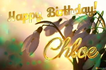 Chloe Happy Birthday! Spring Morning Background