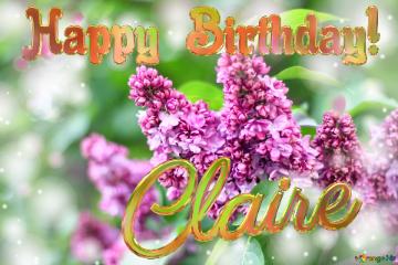 Claire Happy Birthday! Blooming Lilac Background