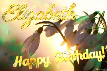 Happy Birthday! Elizabeth Spring Flower Cards