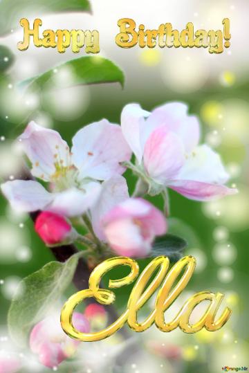 Ella Happy Birthday! Macro flower Apple background